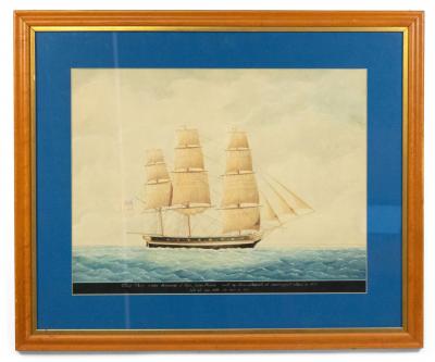  John Clifton American Watercolor Wasp Painting