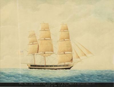  John Clifton American Watercolor Wasp Painting