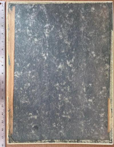  Juliette Kida Renault Classic 1950s Husband and Wife and Gagged Parrot Esquire Magazine Illustration