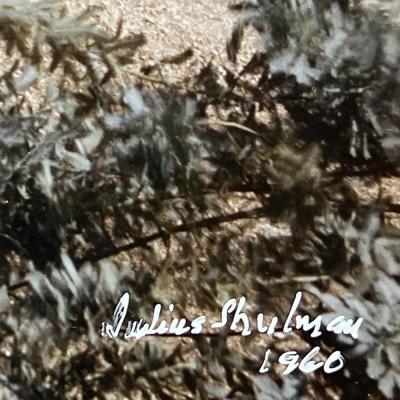  Julius Shulman Rare Julius Shulman Color Photo Stahl House