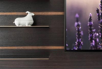  KGBL WATANABE SHELF UNIT for TV MOUNT