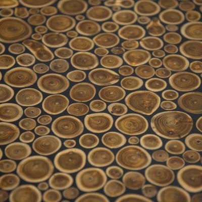  Kam Tin Boxwood Burl Coffee Table