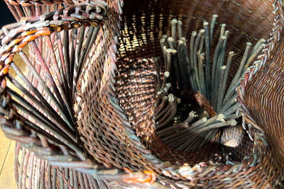  Karen Gossart Corentin Laval Cocon Epicarpes series