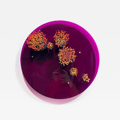  Kirsty Little Wall Flower Purple 2023
