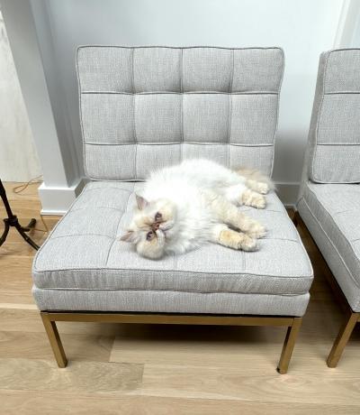  Knoll International Knoll Slipper Chairs