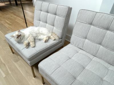  Knoll International Knoll Slipper Chairs