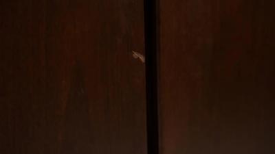  Knoll Mid Century Modern Sideboard by Hans von Klier for Skipper Italy 1970s