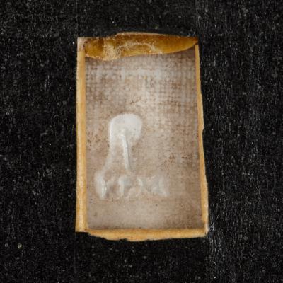  Konigliche Porzellan Manufaktur KPM 19th Century KPM porcelain plaque after Old Master painting