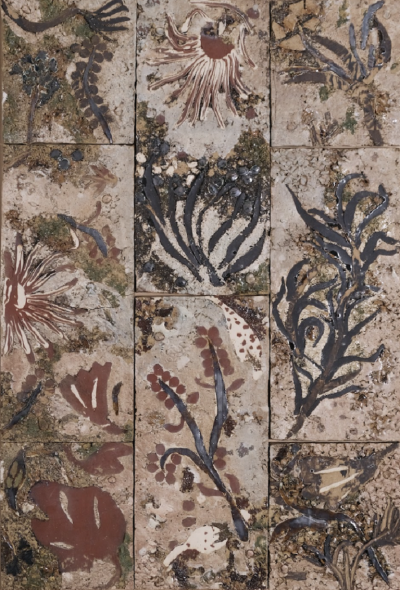  LGS Studio Mesozoic Installation by LGS Studio