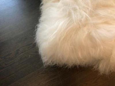  Le Lampade Pippo Rectangular Wool Ottoman by Le Lampade