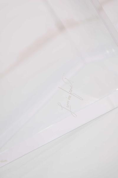  Lion in Frost Lion in Frost Signed Thick Lucite Cocktail Table