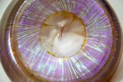  Loetz Art Nouveau Glass Vase by Loetz Witwe Decor Medici Pink Iridescent CZ 1902