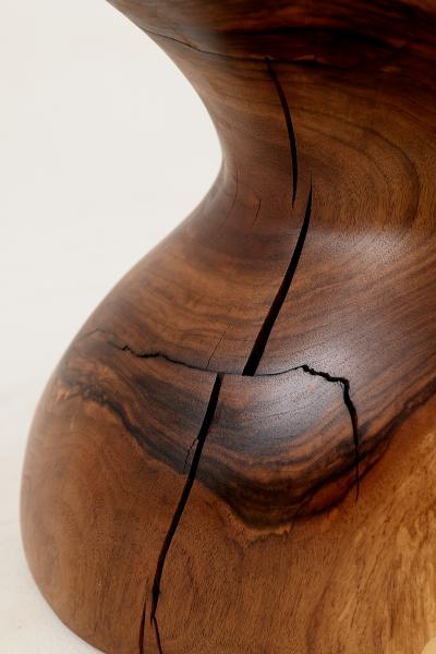  Logniture Chair Carved From Single Piece of Walnut Wood Log Furniture Logniture