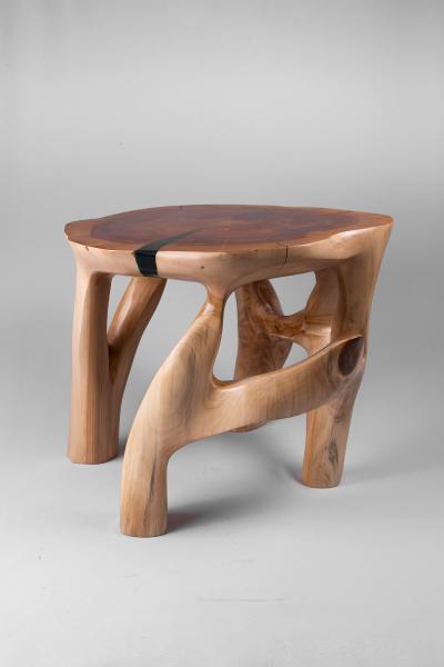 Logniture Domus Coffee Table 1 1 Original