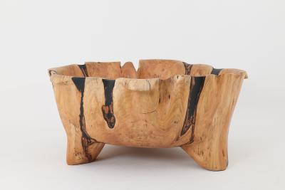  Logniture Live Edge Bathtub Carved from Single Piece of Wood Fully Functional Logniture