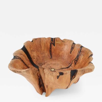  Logniture Live Edge Bathtub Carved from Single Piece of Wood Fully Functional Logniture