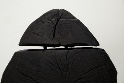  Logniture Logniture Rustic Sculptural Chair Solid Burnt Oak Wood Original 1 1 Jownik