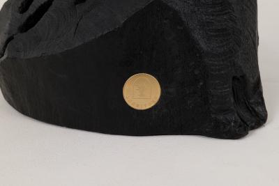  Logniture Logniture Rustic Sculptural Coffee Table Burnt Black Oak Wood Unique