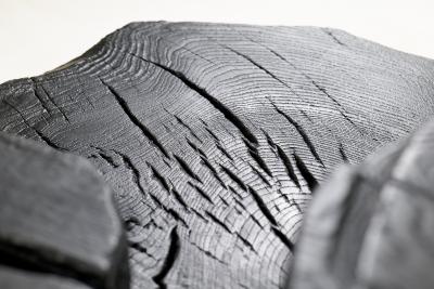  Logniture Sculptural Coffee Table Rustic Burnt Black Wood Carved Handmade Logniture