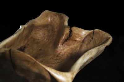  Logniture Solid Wood Bathtub Cavred From Single Tree Trunk Rare