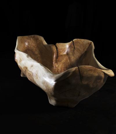  Logniture Solid Wood Bathtub Cavred From Single Tree Trunk Rare