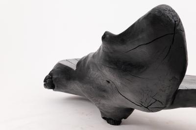  Logniture XXL Sculptural Charred Wood Bench in Organic Form Hand Carved from Solid Log