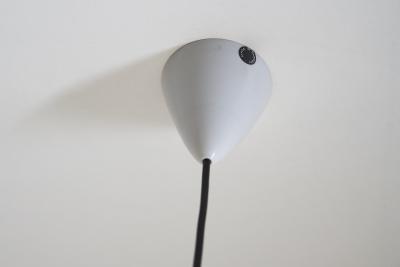  Luxus Teak and Plexiglass Model 1534 Pendant 1960s