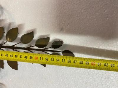  Maison Bagu s 1950 70 Pair of Maison Bagu s Daisy Sconces H 57 cm With Blue Glass Beads