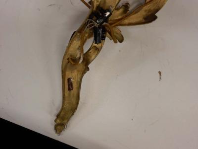  Maison Bagu s Series of 2 Pairs of Sconces Doing in Gilt Bronze Louis XV Style Signed Bague s