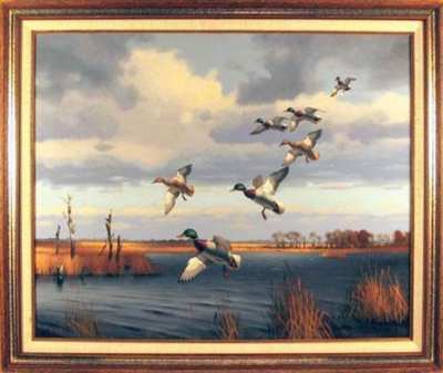  Marcel Bordei Happy Landing