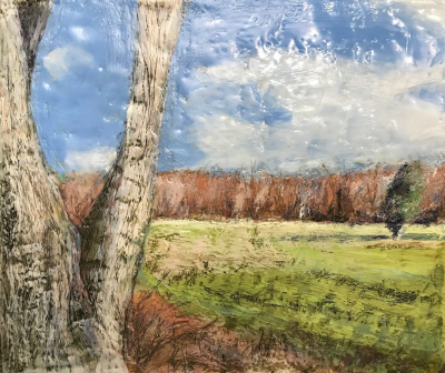  Marcie Wolf Hubbard Meadowbrook Park