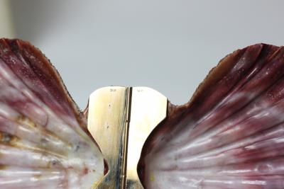  Marguerite Stix The Art of Marguerite Stix Book and 14K Gold Scallop Shell Box 1955