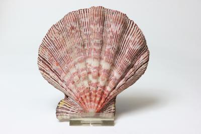  Marguerite Stix The Art of Marguerite Stix Book and 14K Gold Scallop Shell Box 1955