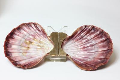  Marguerite Stix The Art of Marguerite Stix Book and 14K Gold Scallop Shell Box 1955