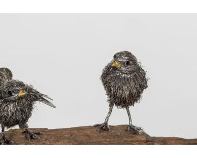  Mario Buccellati Adorable Family of Six Buccellati Sterling Silver Furry Chicks on Petrified Wood
