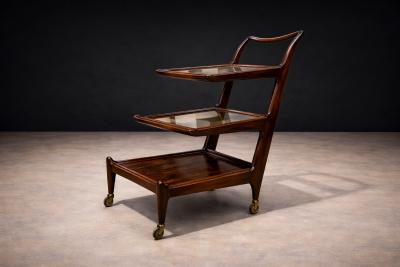  Martin Eisler Carlo Hauner Bar Cart in Rosewood Glass Carlo Hauner and Martin Eisler 1950s
