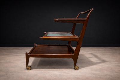  Martin Eisler Carlo Hauner Bar Cart in Rosewood Glass Carlo Hauner and Martin Eisler 1950s