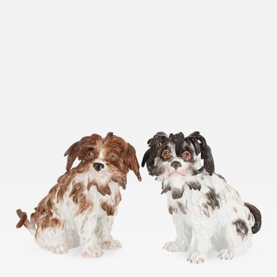  Meissen Porcelain Manufactory Pair of antique Meissen porcelain models of Bolognese terriers