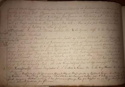  NIELS KJAERBOLLING FORGOG TILE N AFBILDNING AF DANSKE SANGFUGLE