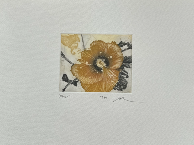  Nall Pansy ca 2015