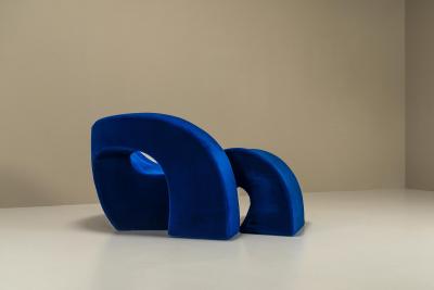 Nani Prina Sculptural Lounge Chair Model Sess by Nani Prina for Sormani Italy 1960s