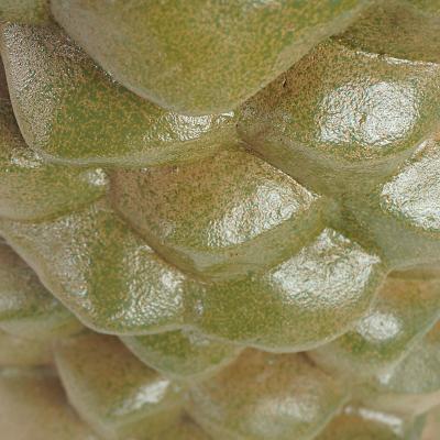  Oak Design Studios PALMAE II 0621 One of a kind glazed terracotta garden pot