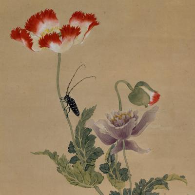  Obata Tosho Mid 19th Century Framed Japanese Painting Longhorn Beetle Poppies 