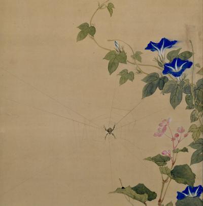  Obata Tosho Mid 19th Century Framed Japanese Painting Spider Morning Glory 