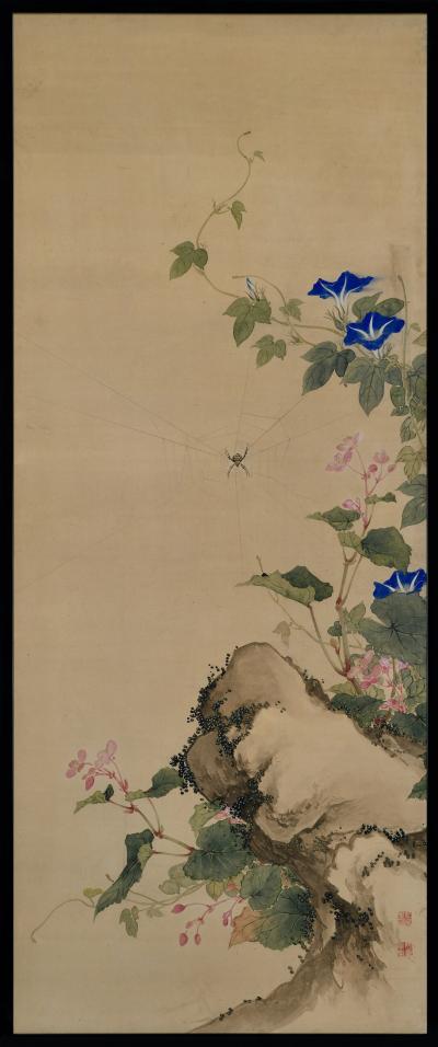  Obata Tosho Mid 19th Century Framed Japanese Painting Spider Morning Glory 