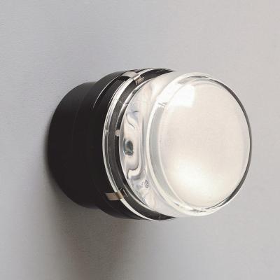  Oluce Pair of Joe Colombo Fresnel Outdoor Wall Lamps for Oluce in Black