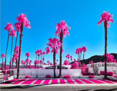  Osceola Refetoff Owners and Guests Pink Blue Multispectral Exposure Palm Springs