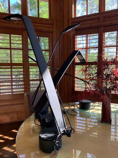  PAF Studio Two pairs Dove Task Desk Lamps by Mario Barbaglia Marco Colombo for PAF Italy