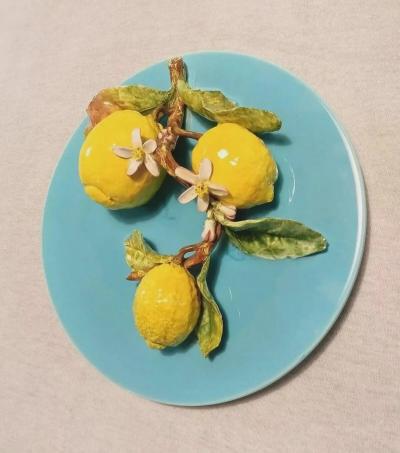  Palissy Ware Palissy Majolica 40 Majolica French Menton 