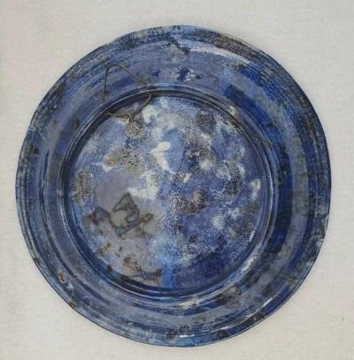  Palissy Ware Palissy Majolica 47 Palissy French Majolica plate 